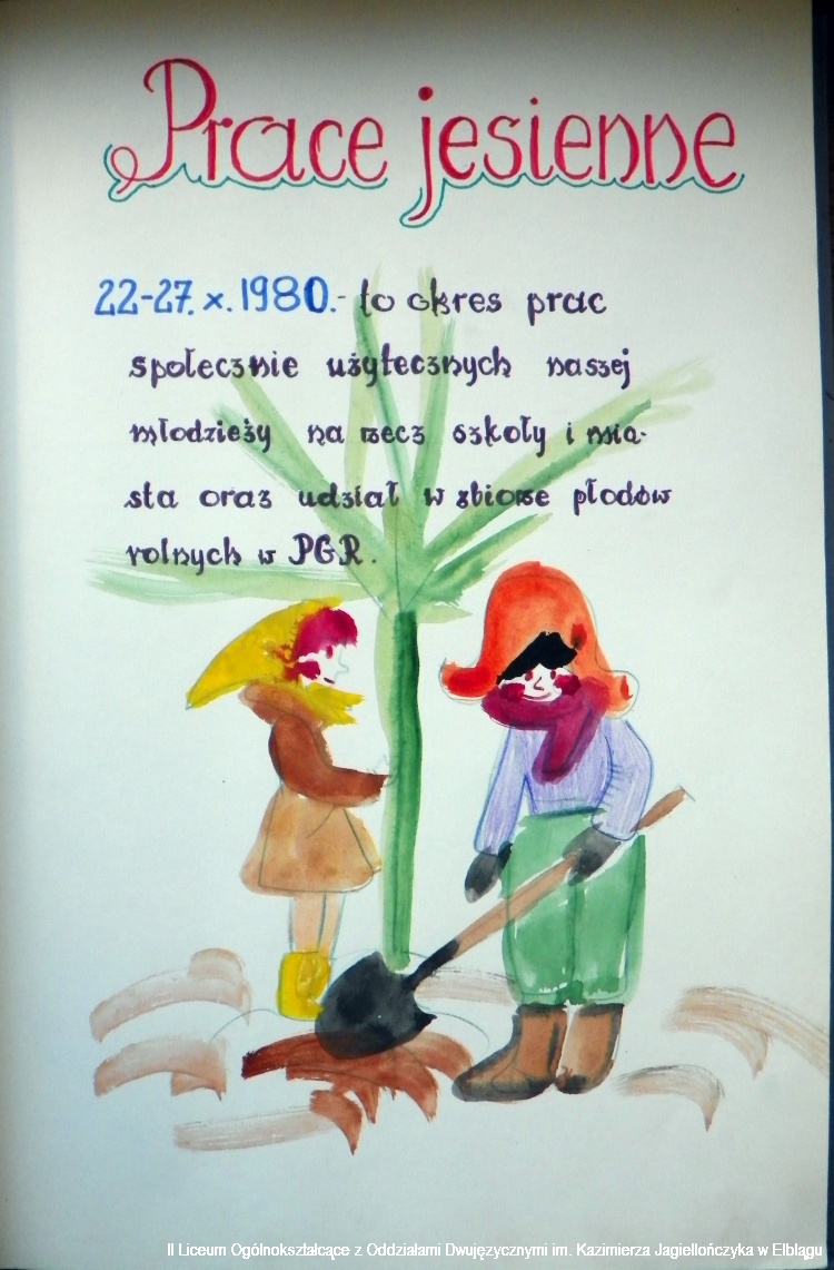 1980 81 11