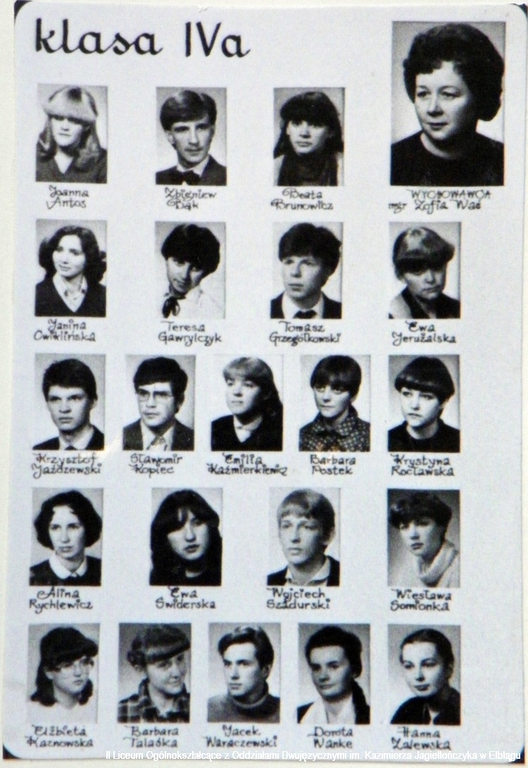 1980 81 29b
